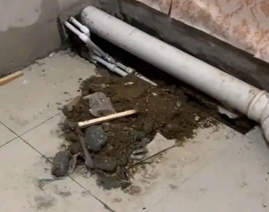 西乡塘卫生间漏水检测哪家好
